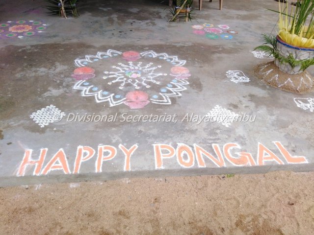 Pongal festival of Alayadivembu Divisional Secretariat-2021